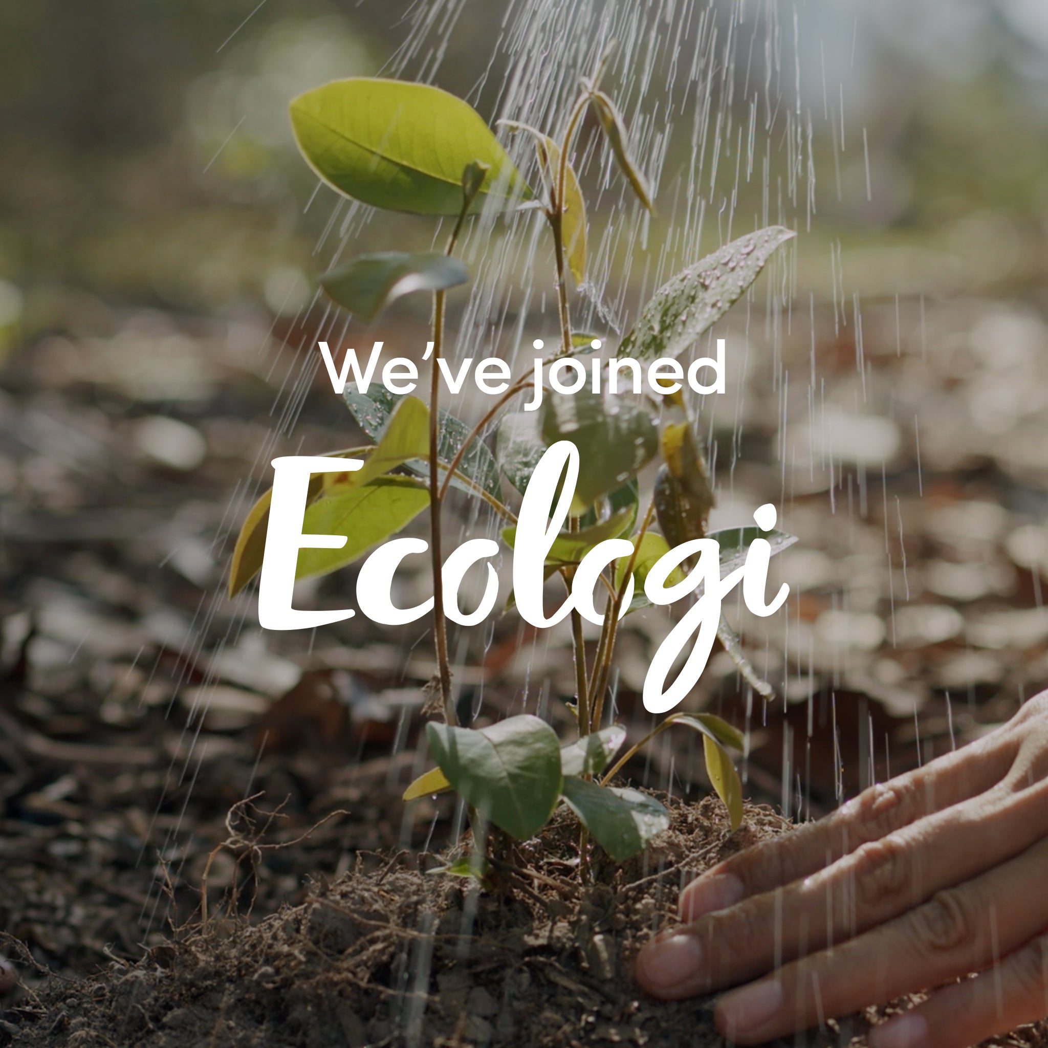 Baby tree being planted in the ground with over-layed text in white " We've joined Ecologi"