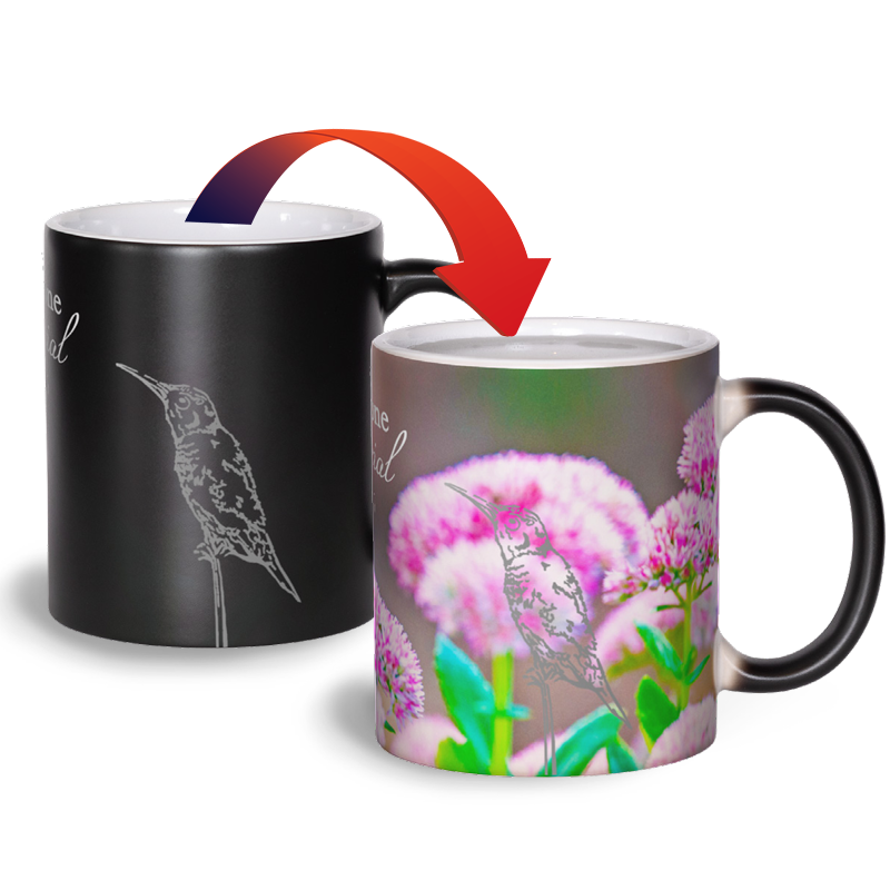 Someone Special - Matte Color Changing Mug Experience